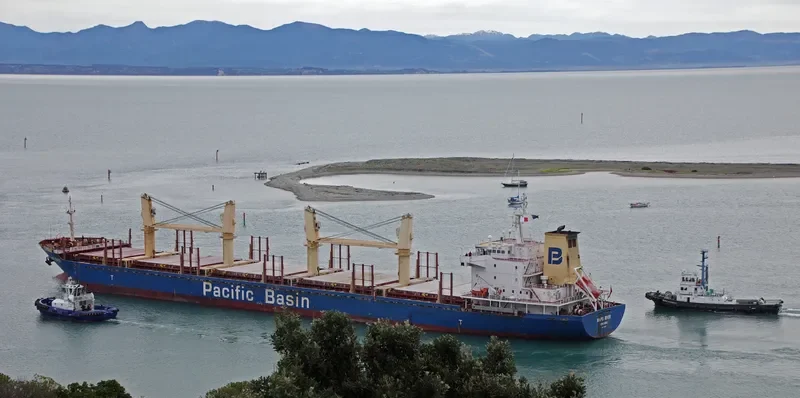 MAIPO RIVER General Cargo IMO 9379935 photo 8