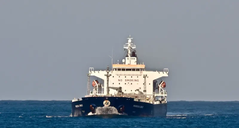 MINERVA EMILY Tanker IMO 9380063 photo 8