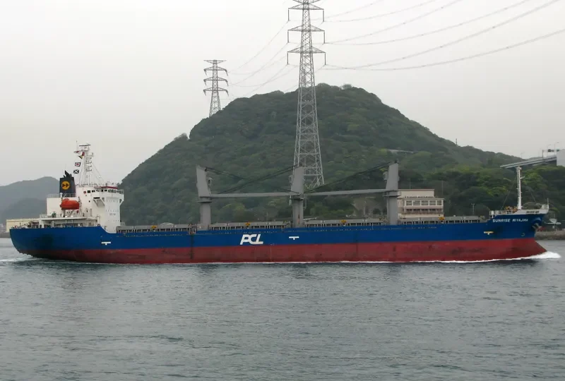 BMC ENDORA Bulk Carrier IMO 9380427 photo 6