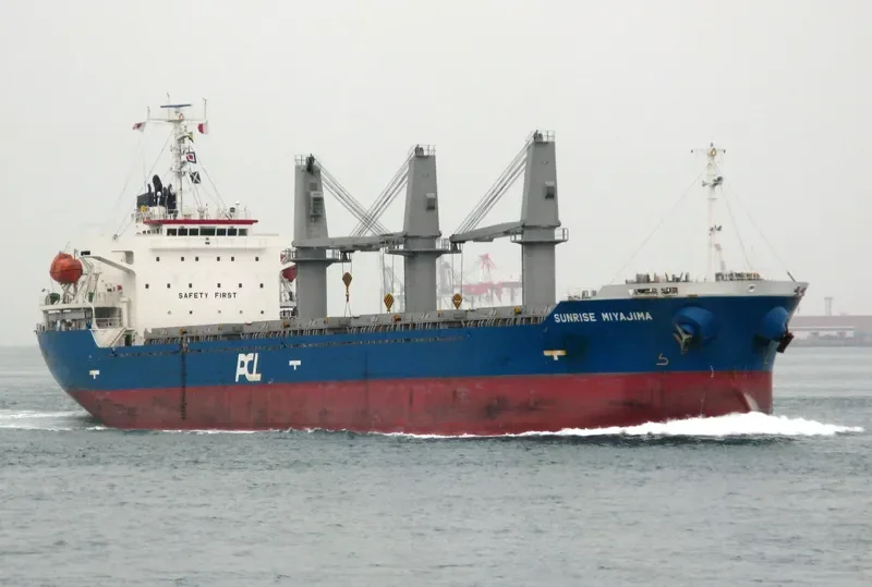 BMC ENDORA Bulk Carrier IMO 9380427 photo 8