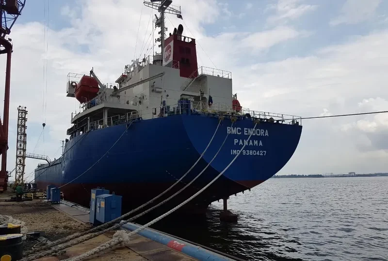 BMC ENDORA Bulk Carrier IMO 9380427 photo 9