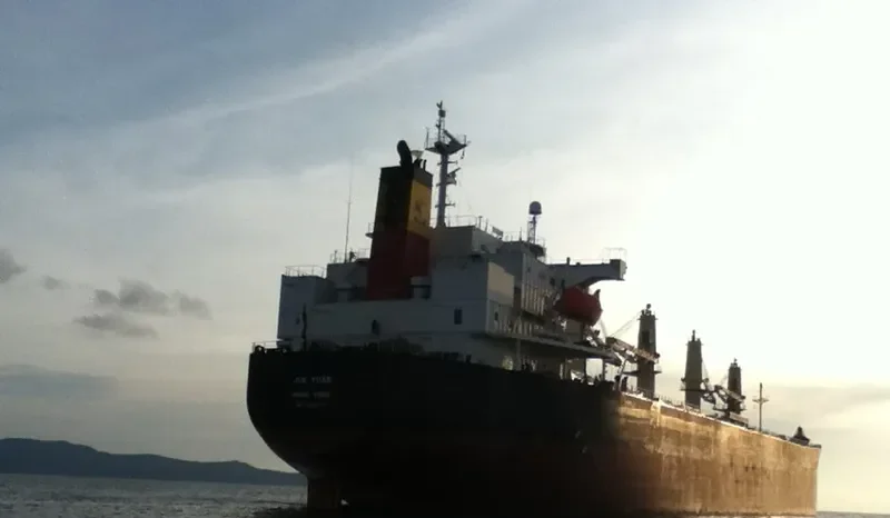 JIN YUAN Bulk Carrier IMO 9380776 photo 4