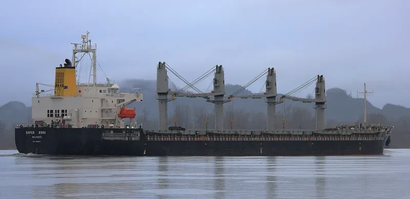 SUPER EMMA Bulk Carrier IMO 9380829 photo 7