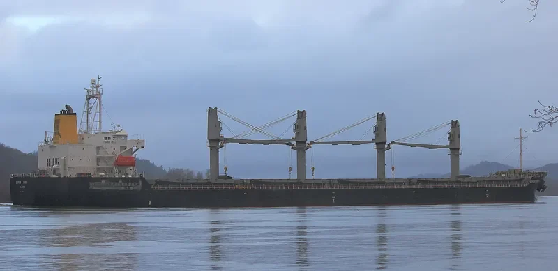 SUPER EMMA Bulk Carrier IMO 9380829 photo 8