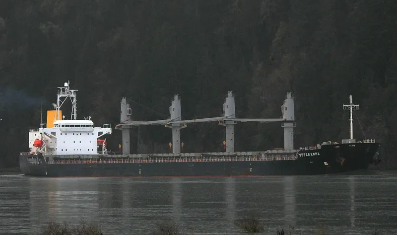 SUPER EMMA Bulk Carrier IMO 9380829 photo 9