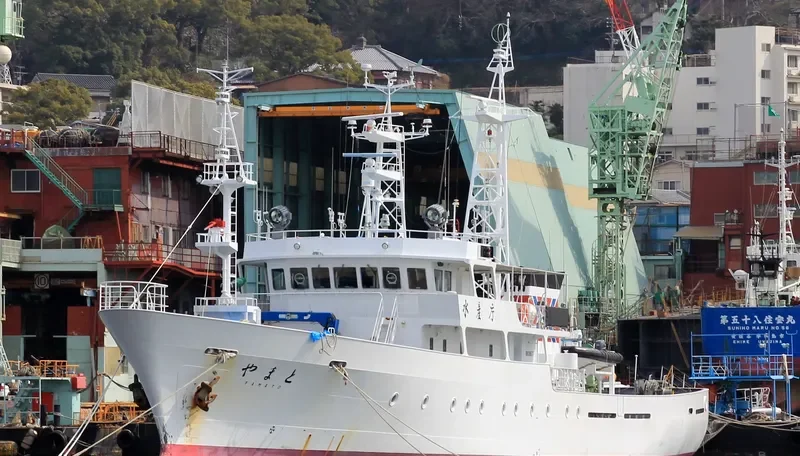 YAMATO General Cargo IMO 9380867 photo 4