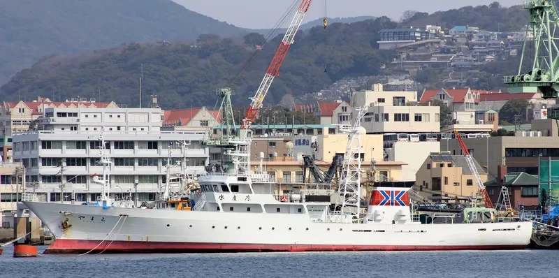 YAMATO General Cargo IMO 9380867 photo 5