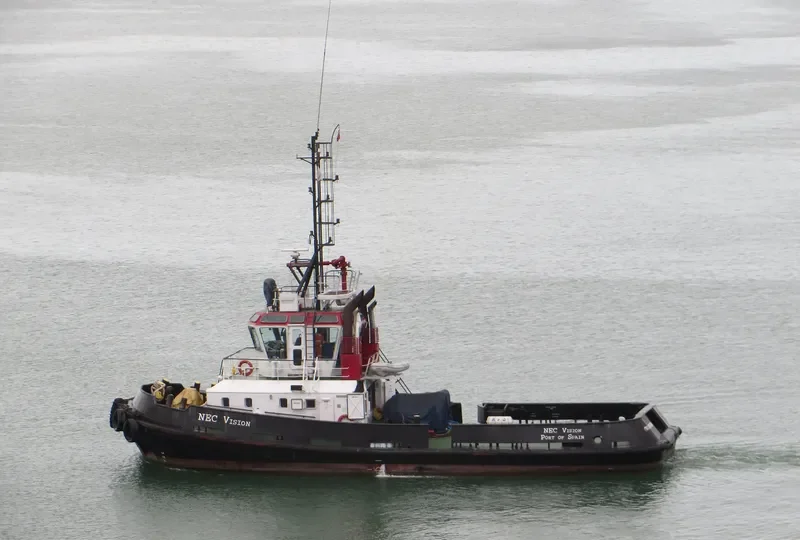 NEC VISION General Cargo IMO 9381081