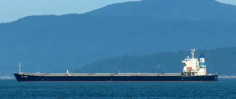 BLUE IONIAN Bulk Carrier IMO 9381184