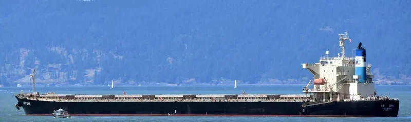 BLUE IONIAN Bulk Carrier IMO 9381184 photo 2