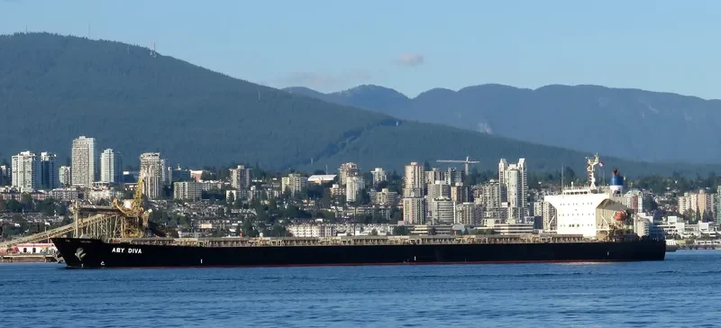 BLUE IONIAN Bulk Carrier IMO 9381184 photo 5