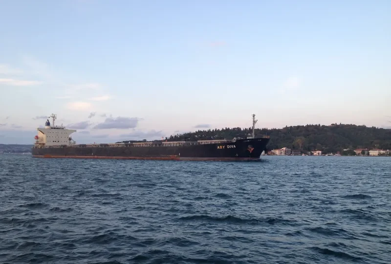 BLUE IONIAN Bulk Carrier IMO 9381184 photo 10