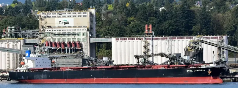 DYNA CAMELLIA Bulk Carrier IMO 9381196