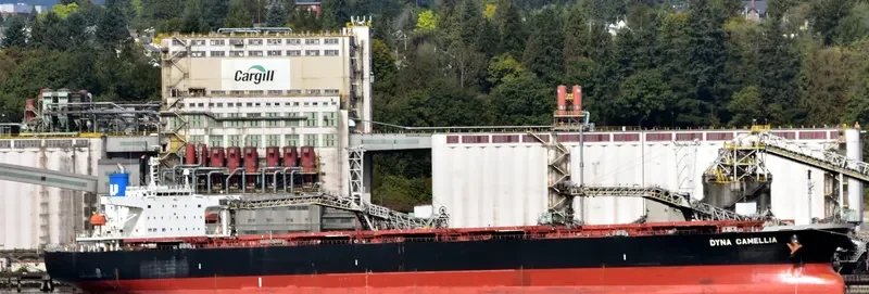DYNA CAMELLIA Bulk Carrier IMO 9381196 photo 3