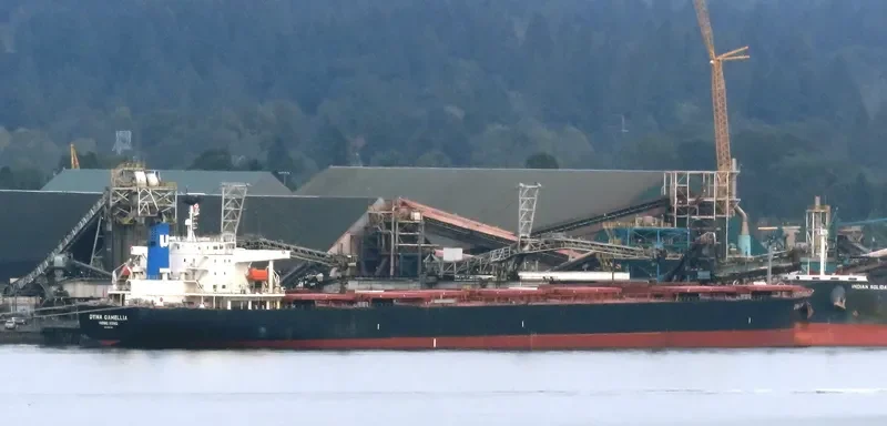 DYNA CAMELLIA Bulk Carrier IMO 9381196 photo 8