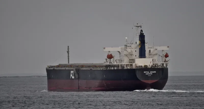 ROYAL AWARD Bulk Carrier IMO 9381201 photo 2