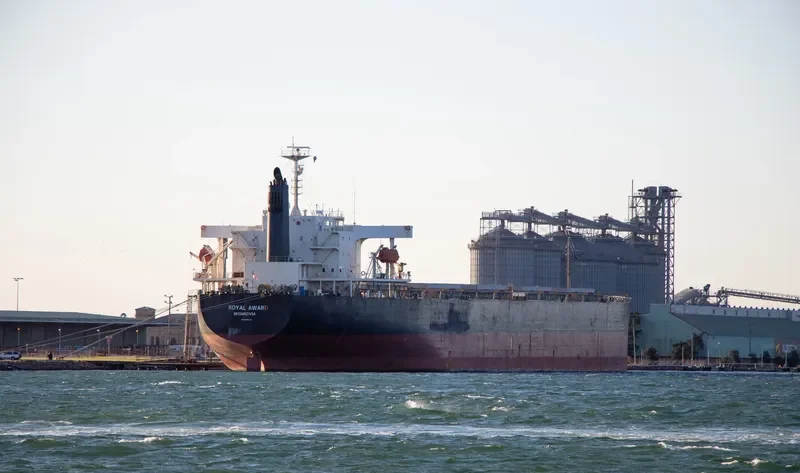 ROYAL AWARD Bulk Carrier IMO 9381201 photo 10