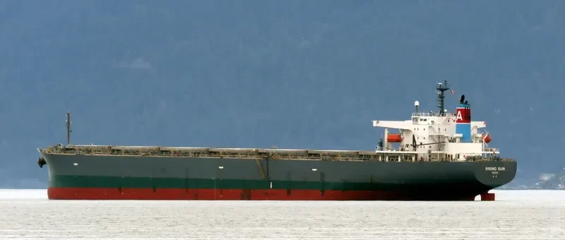 RISING SUN Bulk Carrier IMO 9381225 photo 7
