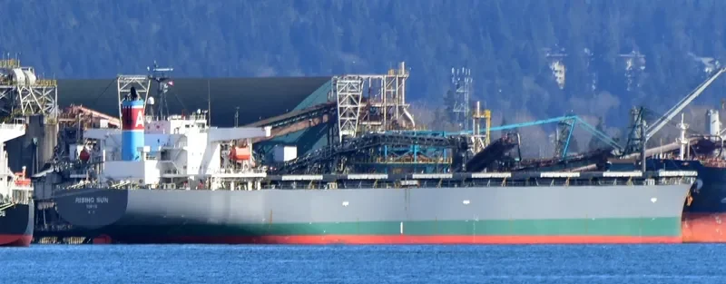 RISING SUN Bulk Carrier IMO 9381225 photo 10