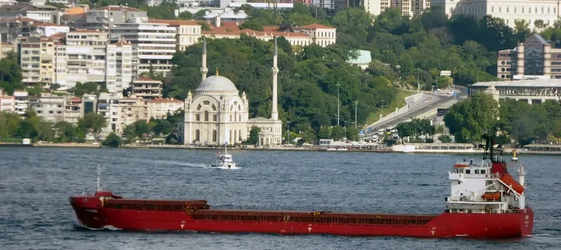 FIONA General Cargo IMO 9381419 photo 2