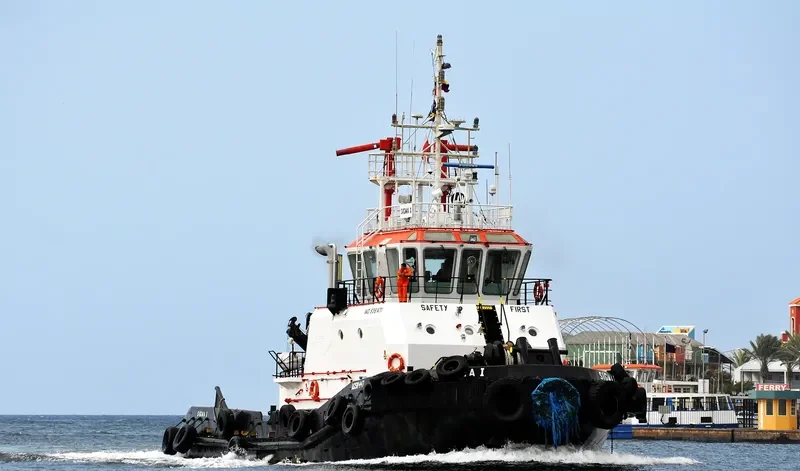 ALM ELEPHANT General Cargo IMO 9381471 photo 4