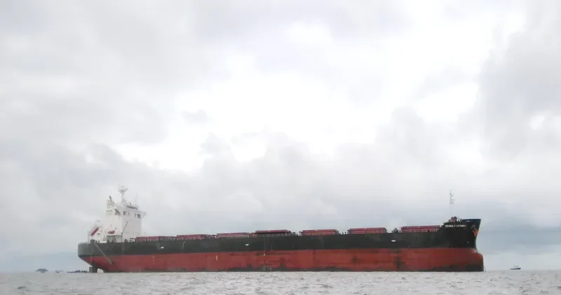 PEDHOULAS COMMANDER Bulk Carrier IMO 9381524 photo 3
