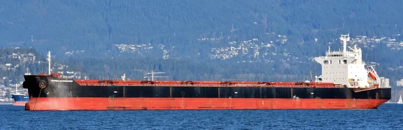 PEDHOULAS COMMANDER Bulk Carrier IMO 9381524 photo 9
