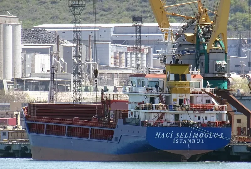 NACI SELIMOGLU General Cargo IMO 9382059