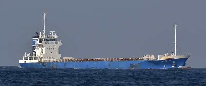 TA FENG General Cargo IMO 9382231
