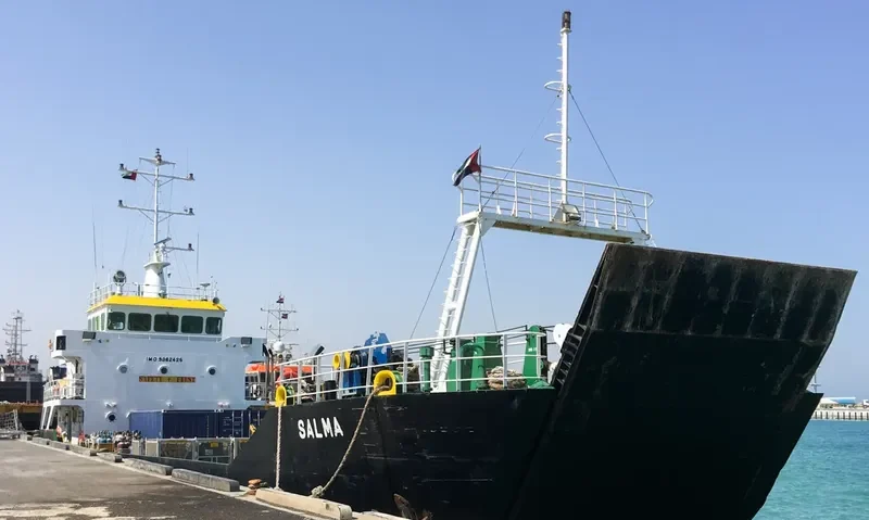 SALMA General Cargo IMO 9382425