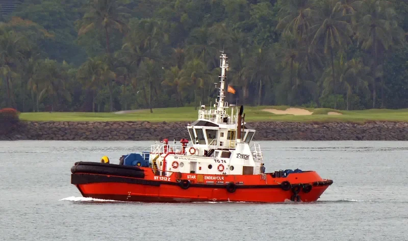 STAR ENDEAVOUR General Cargo IMO 9382528