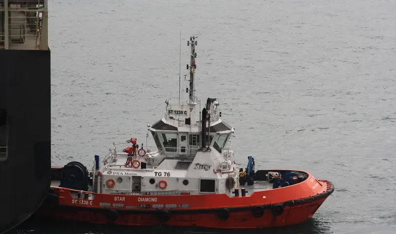 THOR General Cargo IMO 9382542