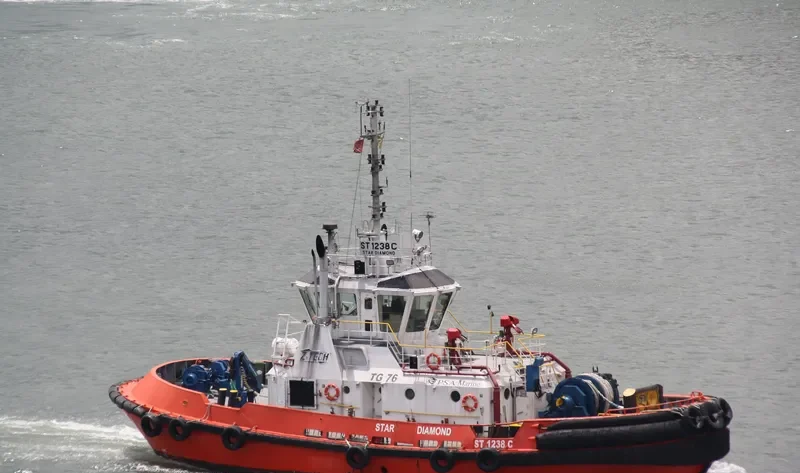 THOR General Cargo IMO 9382542 photo 7