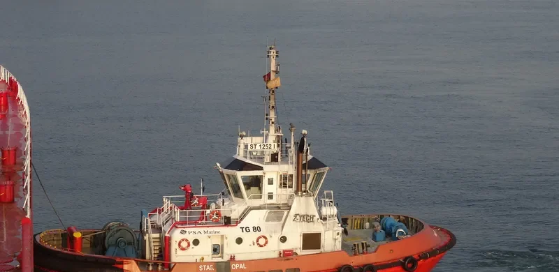STAR OPAL General Cargo IMO 9382592