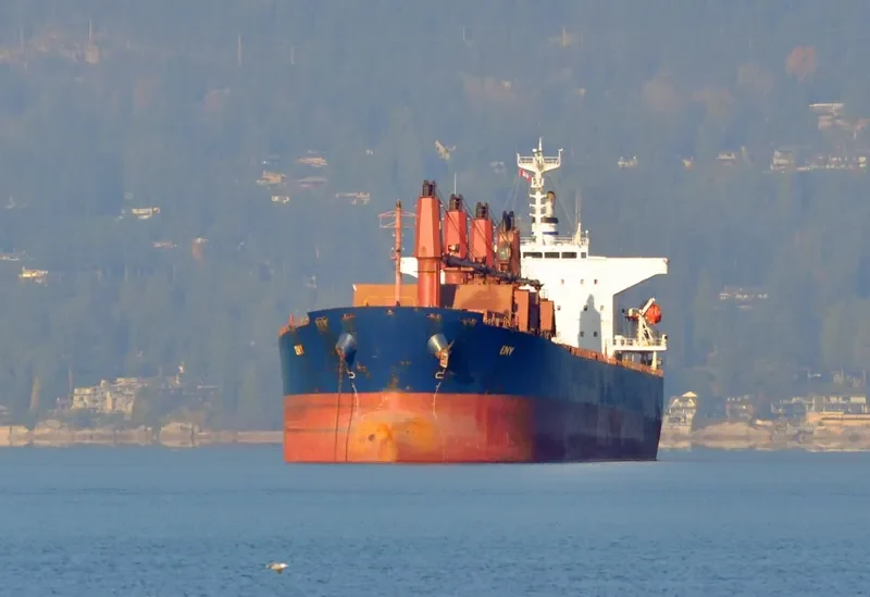 ENY Bulk Carrier IMO 9382695 photo 7