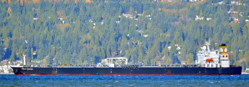 WORLD HARMONY Tanker IMO 9382970 photo 5
