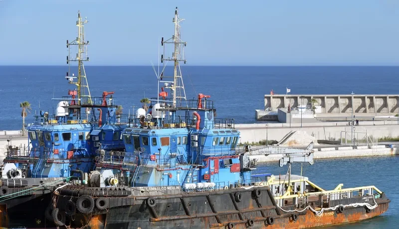 LAMNALCO MERLIN General Cargo IMO 9383168 photo 4
