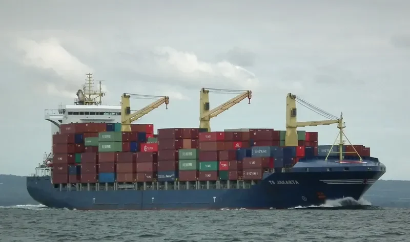 MSC LIDIA Container Ship IMO 9383223 photo 3