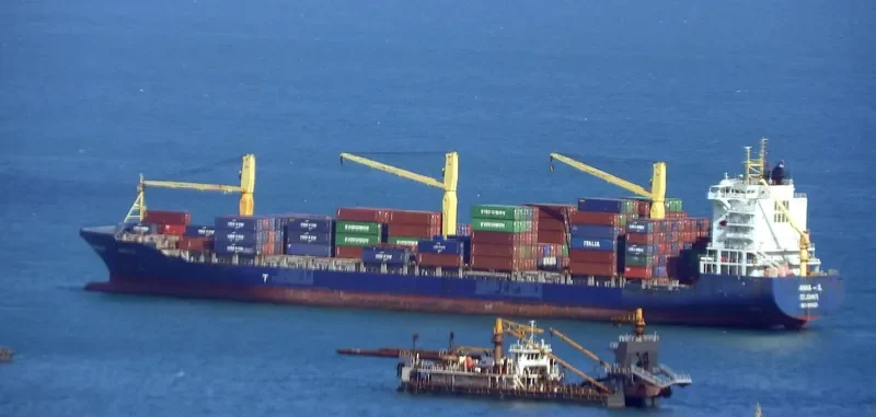 MSC LIDIA Container Ship IMO 9383223 photo 5