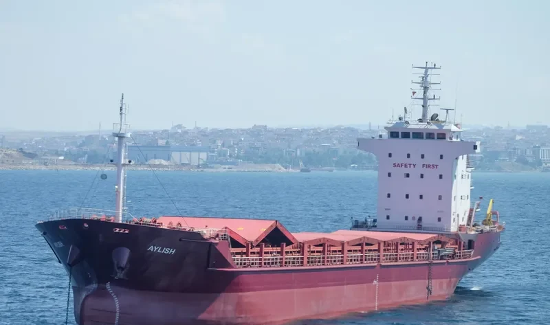 TEVFIK BEY General Cargo IMO 9383326 photo 2