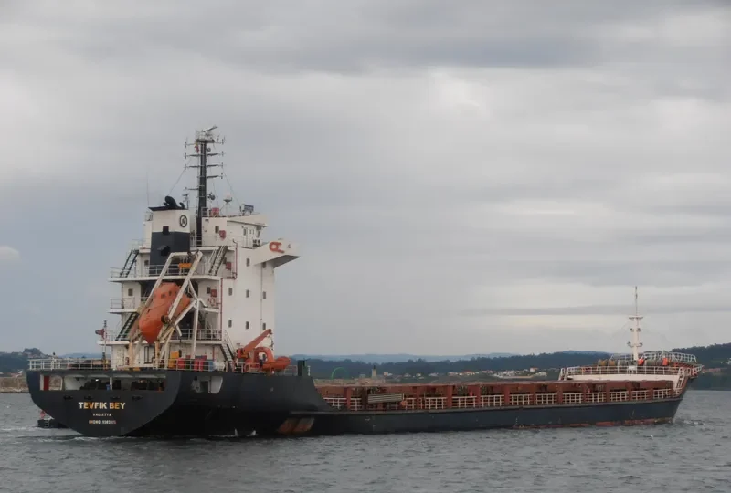 TEVFIK BEY General Cargo IMO 9383326 photo 7