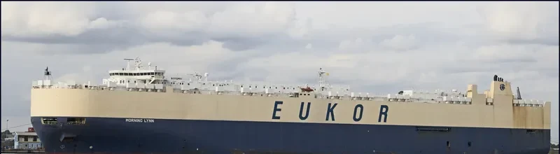 MORNING LYNN General Cargo IMO 9383429 photo 2