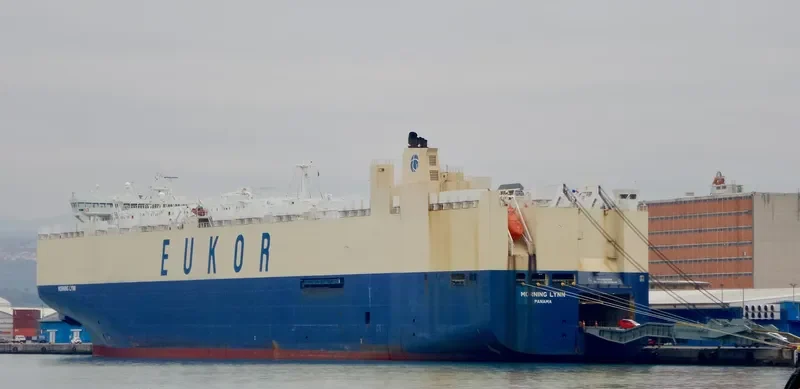 MORNING LYNN General Cargo IMO 9383429 photo 7