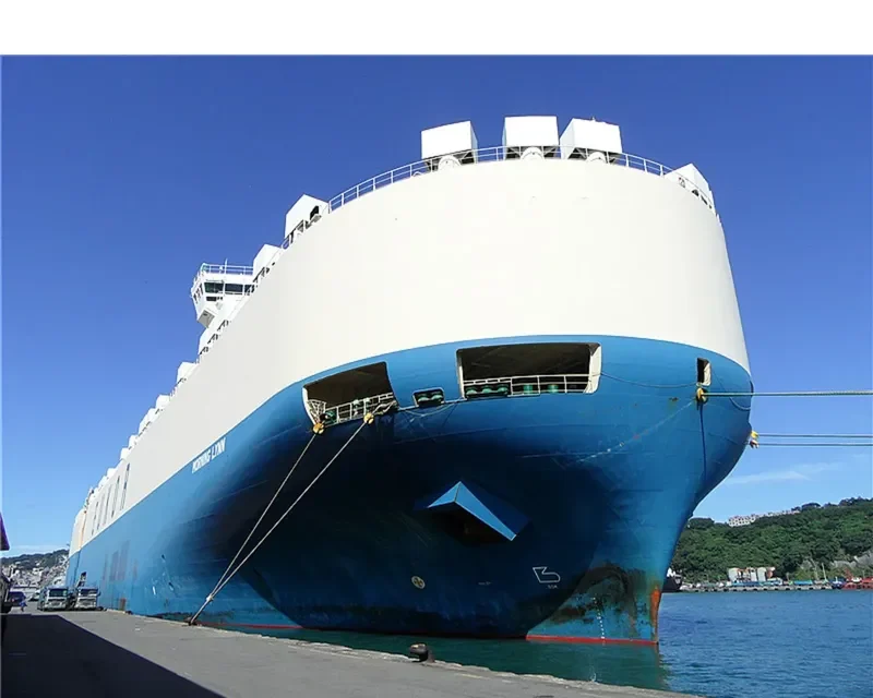 MORNING LYNN General Cargo IMO 9383429 photo 8