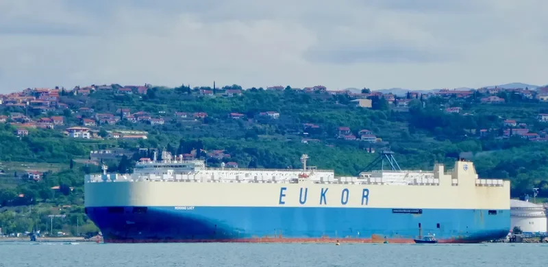MORNING LUCY General Cargo IMO 9383431 photo 5