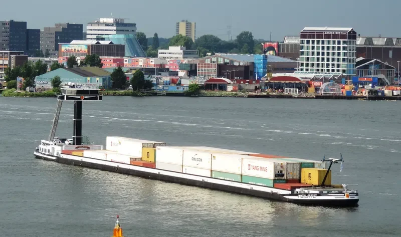 VIGILATE General Cargo IMO 9383584 photo 9