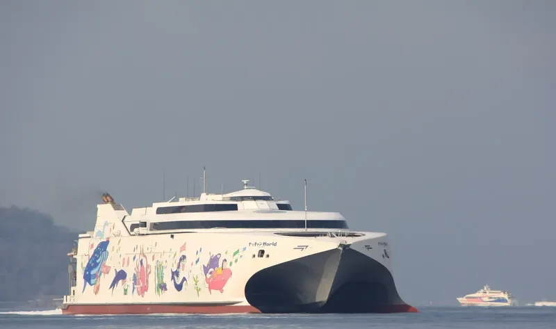 NATCHAN WORLD Ro-Ro IMO 9383649 photo 2