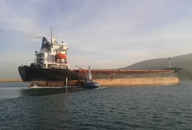BALAT General Cargo IMO 9383730 photo 9