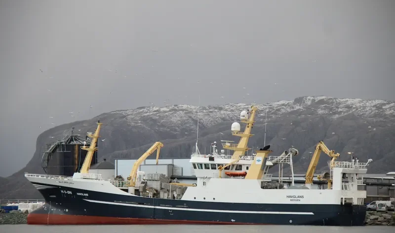 HAVGLANS General Cargo IMO 9383833