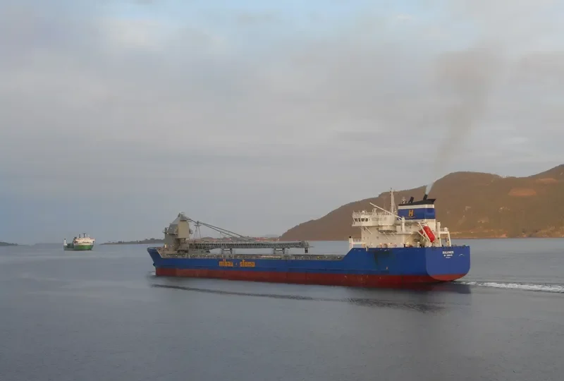 BULKNES Bulk Carrier IMO 9384370 photo 9